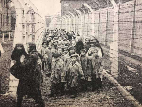 Zdjęcie z Auschwitz